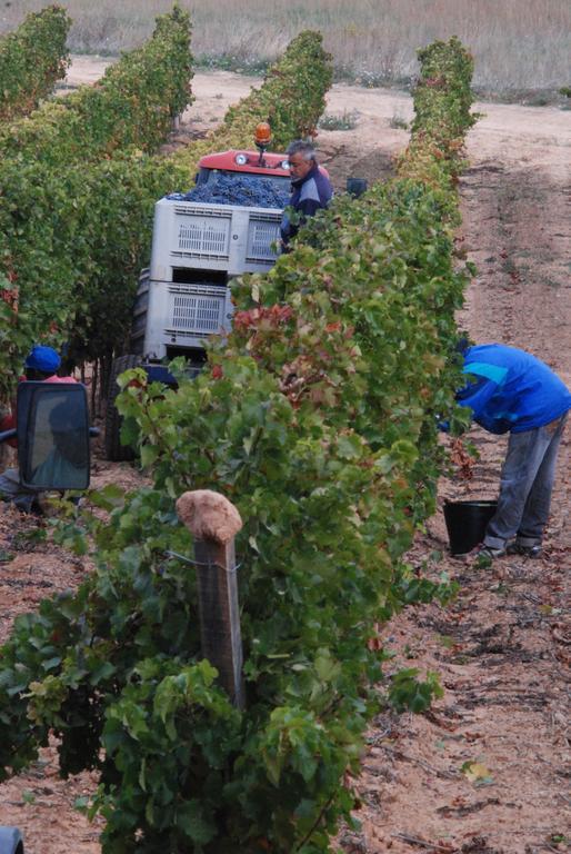 Vilosell Wine Hotel El Vilosell Εξωτερικό φωτογραφία