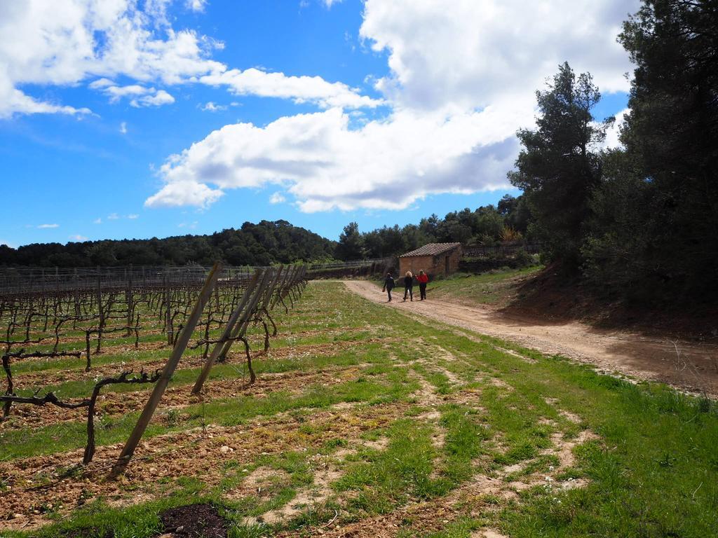 Vilosell Wine Hotel El Vilosell Εξωτερικό φωτογραφία