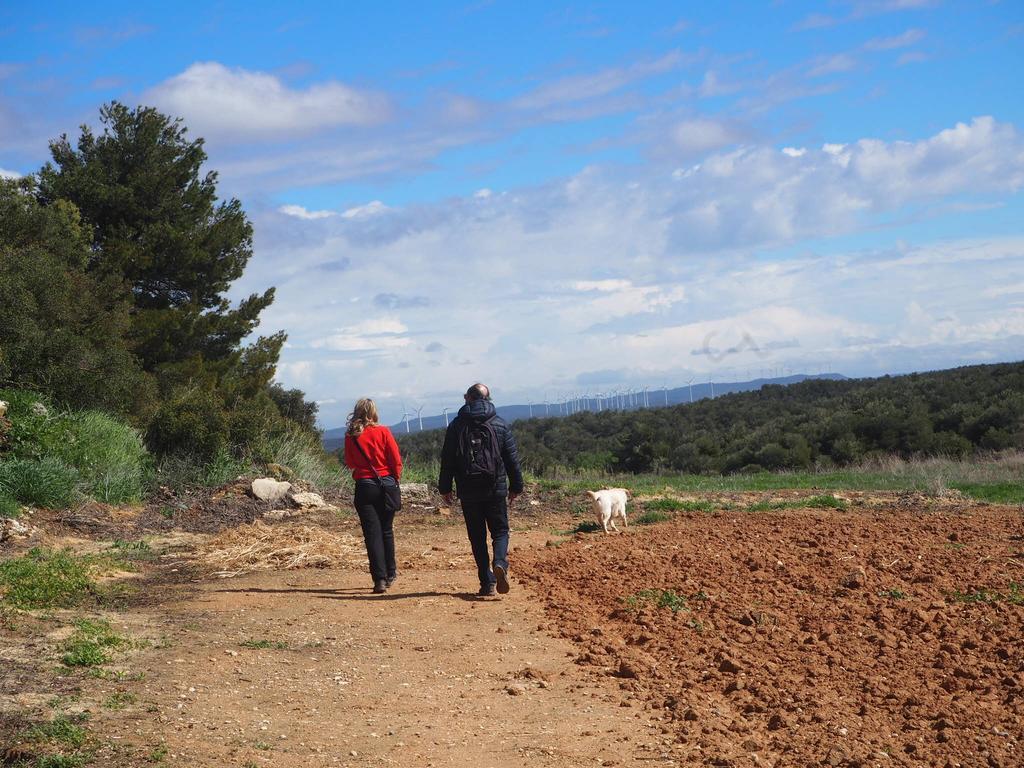 Vilosell Wine Hotel El Vilosell Εξωτερικό φωτογραφία
