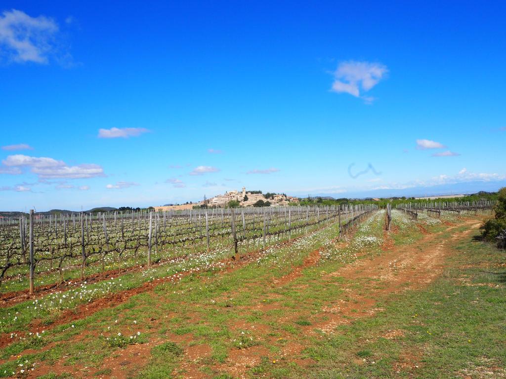 Vilosell Wine Hotel El Vilosell Εξωτερικό φωτογραφία